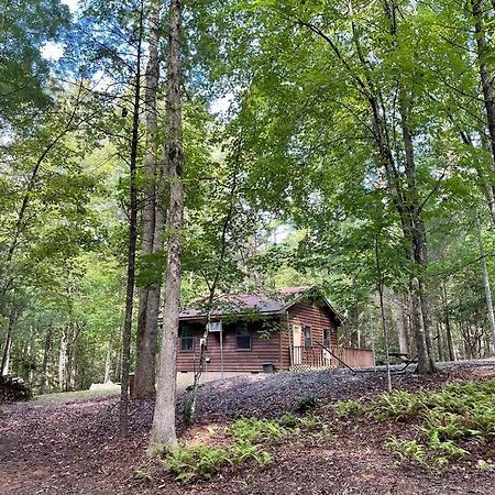 Private Cozy Cabin In The Woods With Great View Murphy Exteriör bild