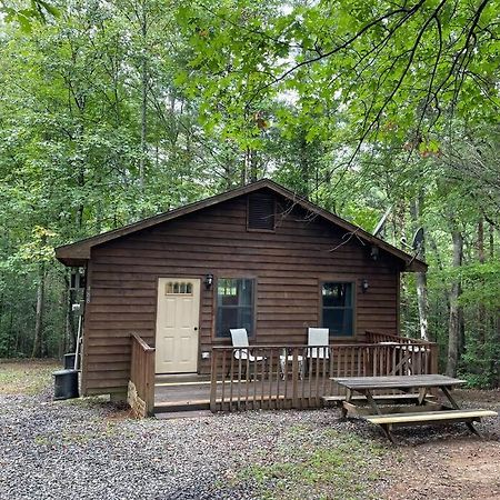 Private Cozy Cabin In The Woods With Great View Murphy Exteriör bild