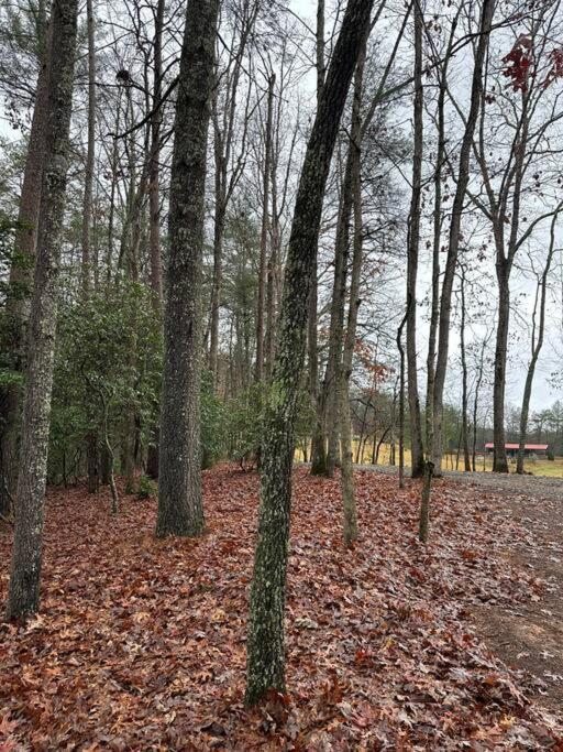 Private Cozy Cabin In The Woods With Great View Murphy Exteriör bild